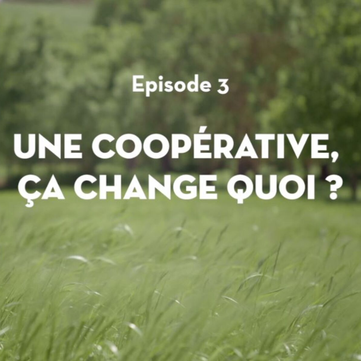 Episode 3 : Que Biocoop soit une coopérative, ça change quoi concrètement pour moi ?