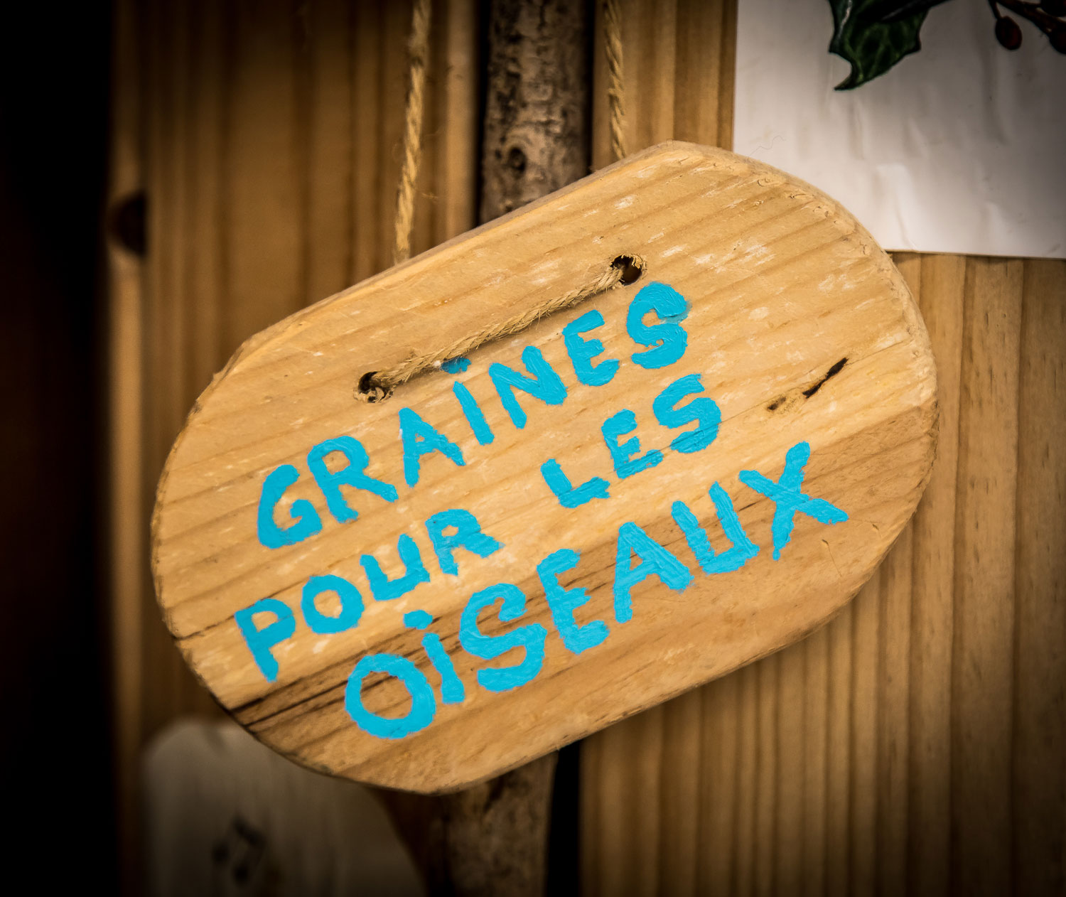 Des graines pour les oiseaux