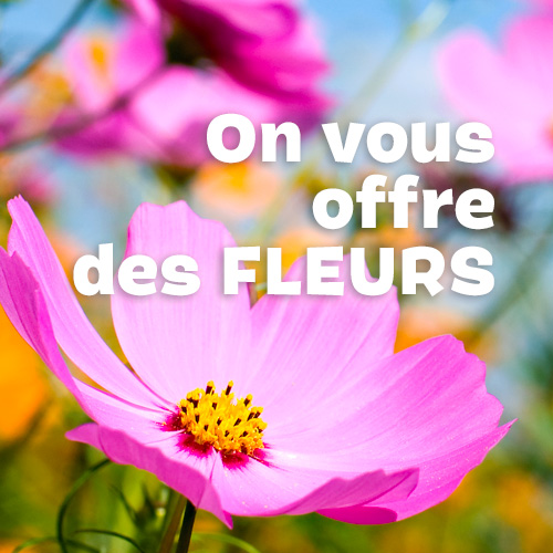 On vous offre des fleurs !