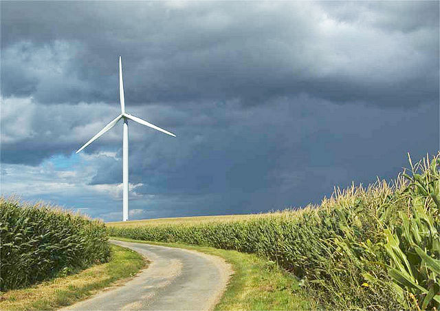 Biocoop et l’Electricité Verte Biocoop et l’Electricité Verte