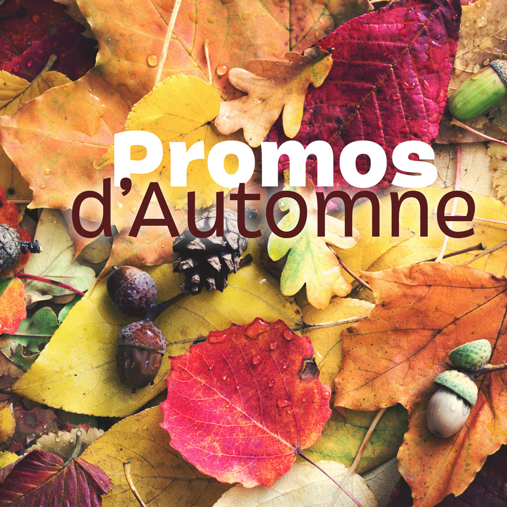 Les promos d'automne Les promos d'automne