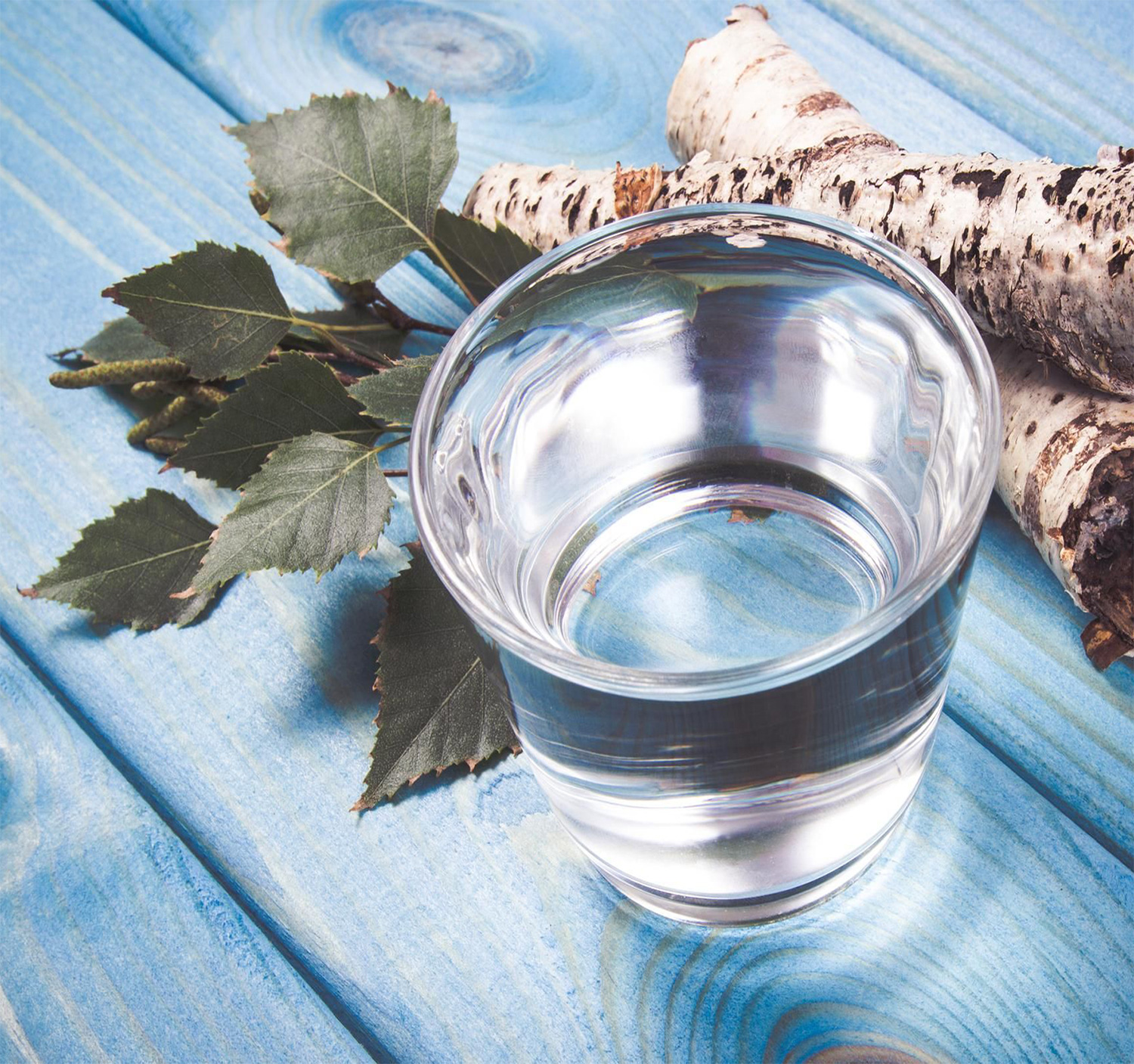 La sève de bouleau ou l’élixir détox ! La sève de bouleau ou l’élixir détox !