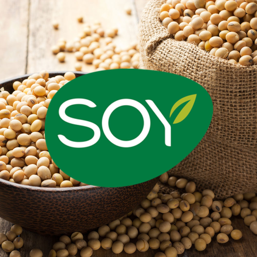 ADN Soja, par Soy ADN Soja, par Soy