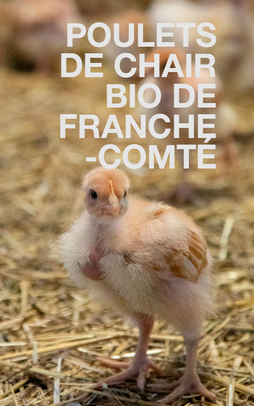 Les Poulets de chair BIO de Franche-Comté Les Poulets de chair BIO de Franche-Comté