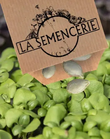La Semencerie